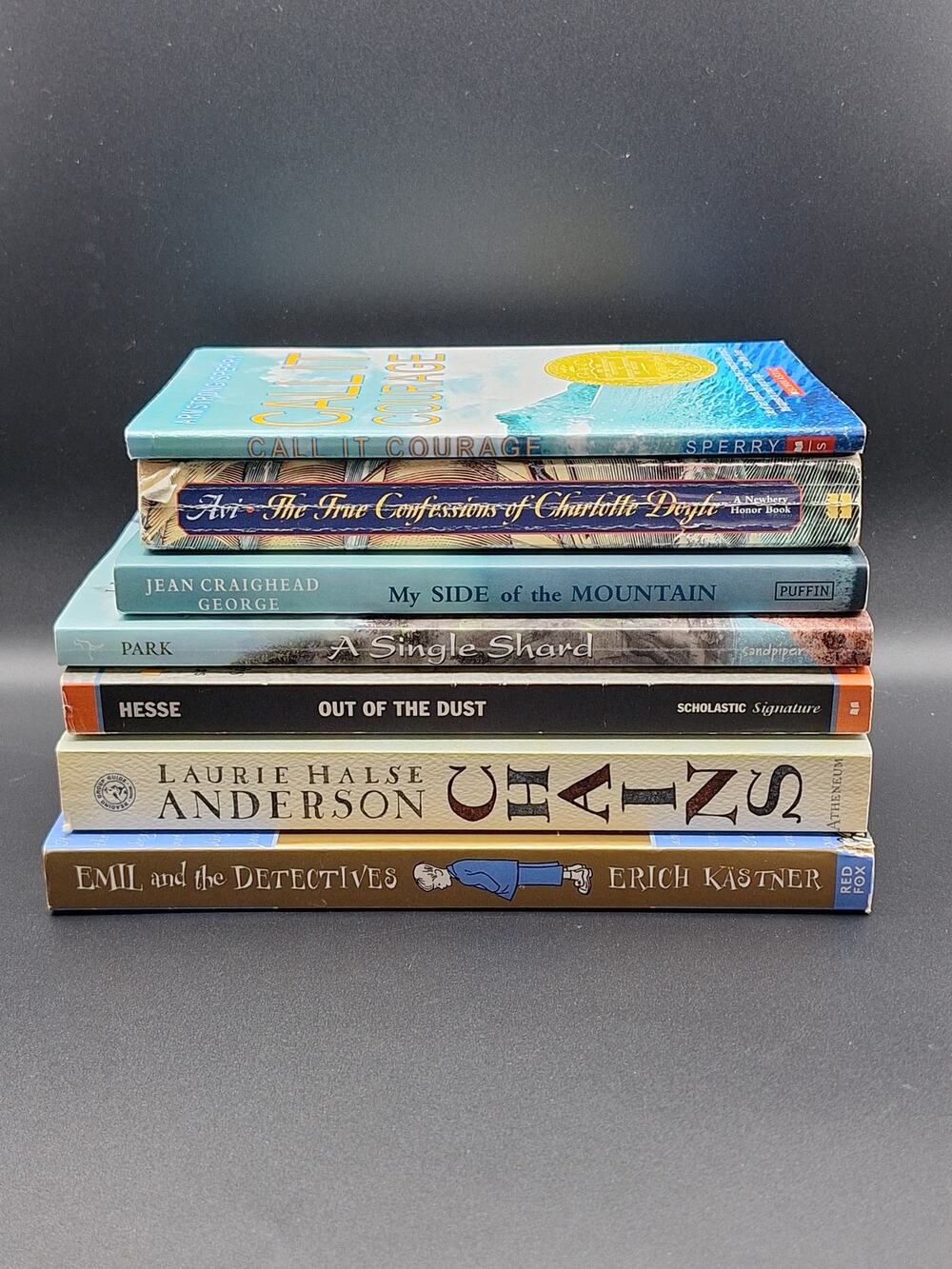 Newberry Award Book Lot 7 Classics Middle School Reading My Side of Mountain